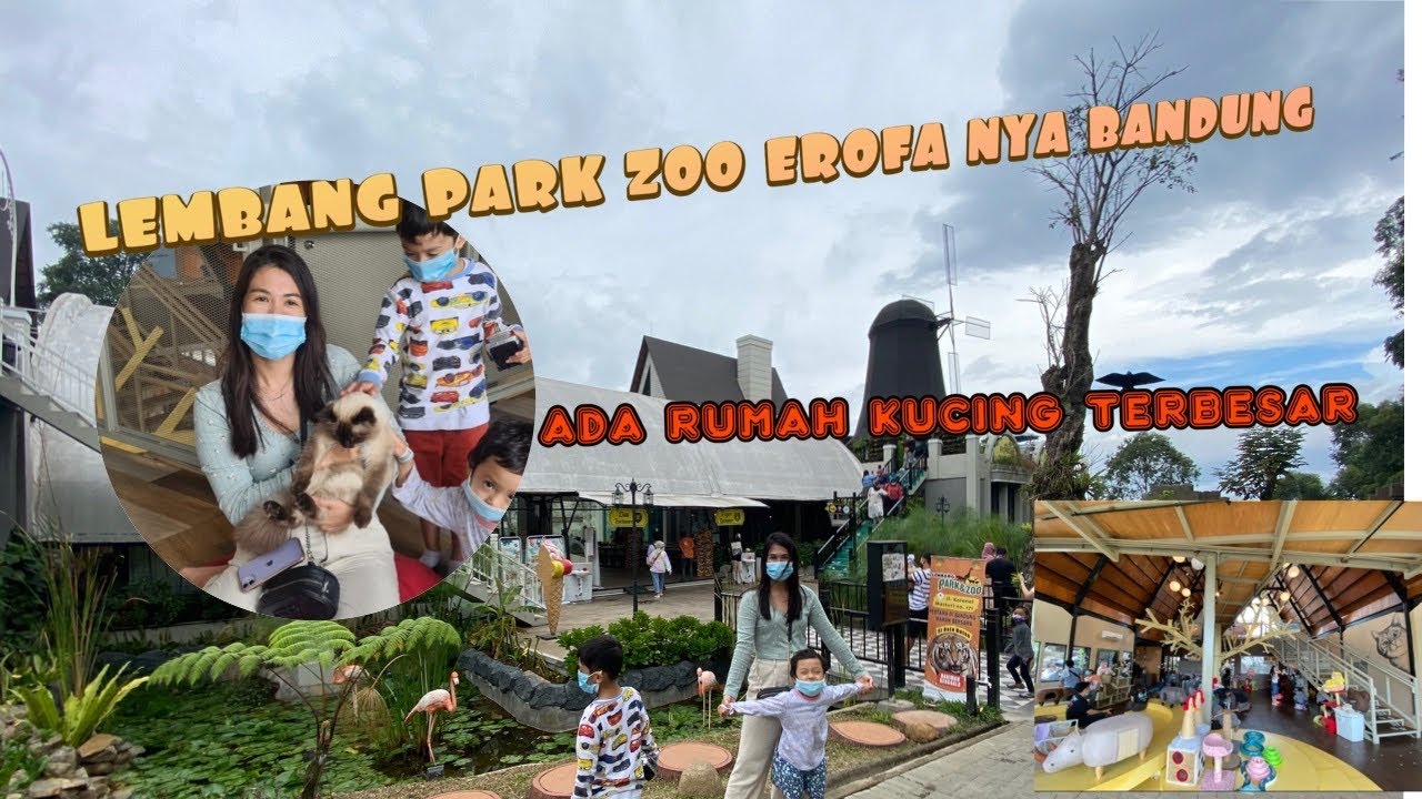 Lembang park and zoo | Neko Cafe Lembang | Cat Paradise | Wajib