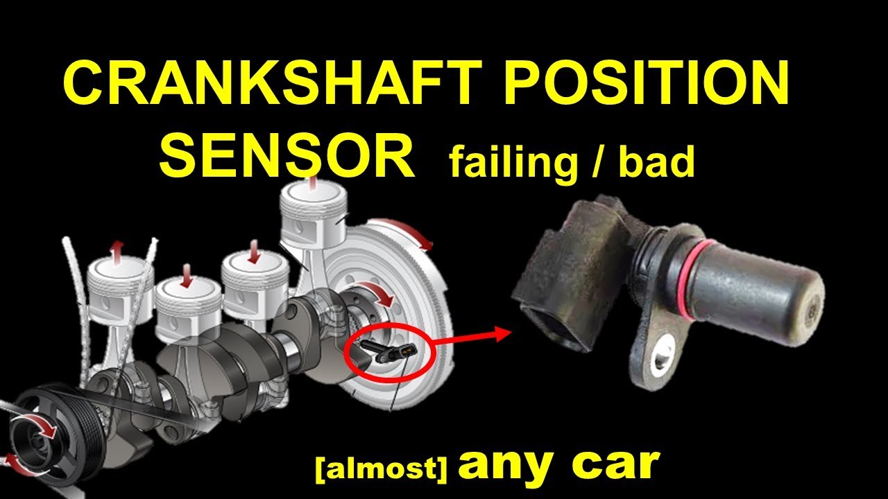 CRANK Position Sensor Test failing CKp sensor CKp test ｜ 世界のカワイイ 猫
