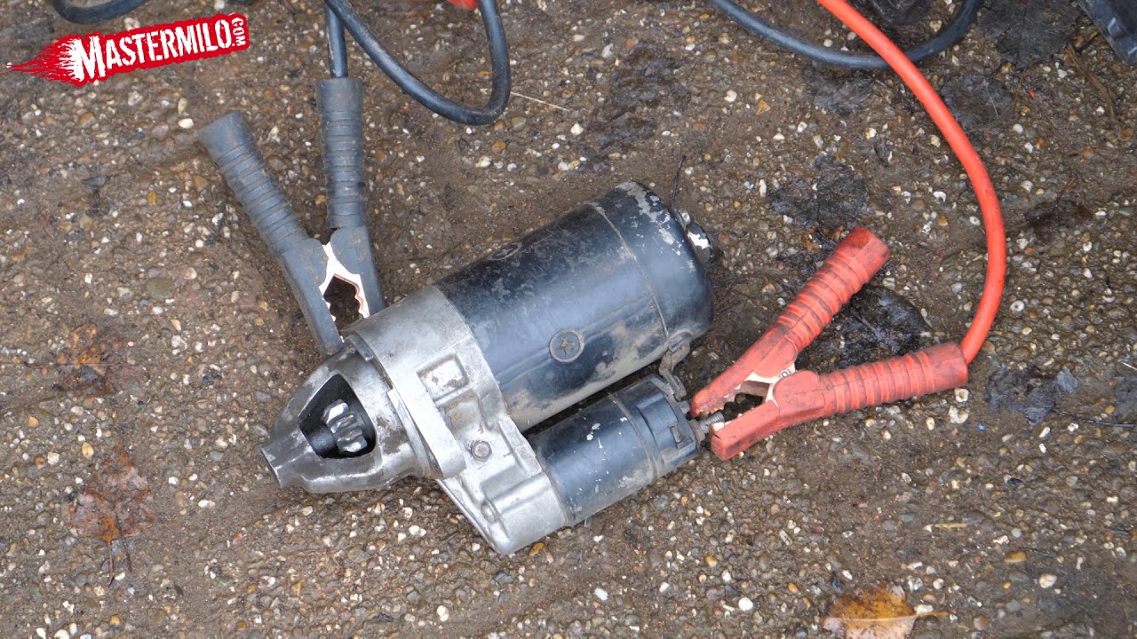 How a starter motor works Fixing a lazy starter ｜ 世界のカワイイ 猫ちゃん動画 まとめ サイト