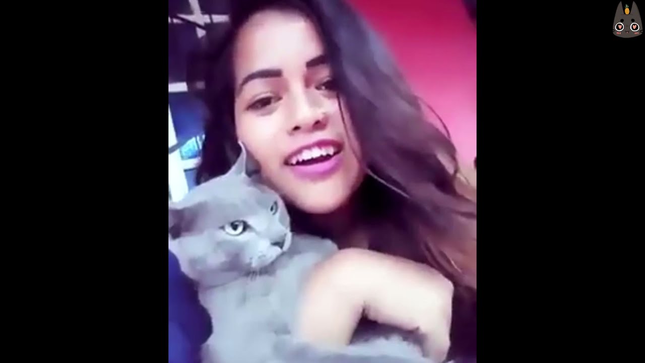 Cats Who HATE Singing! (A Compilation) ｜ 世界のカワイイ 猫ちゃん動画 まとめ サイト